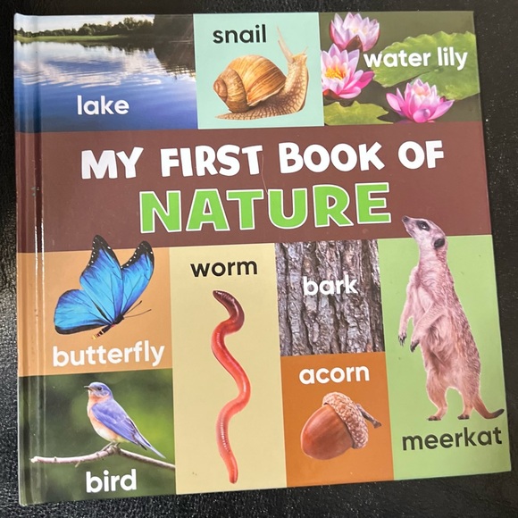 Little Grasshopper Books My First Interactive Book Of Downloadable Collections - Picture 6 of 6